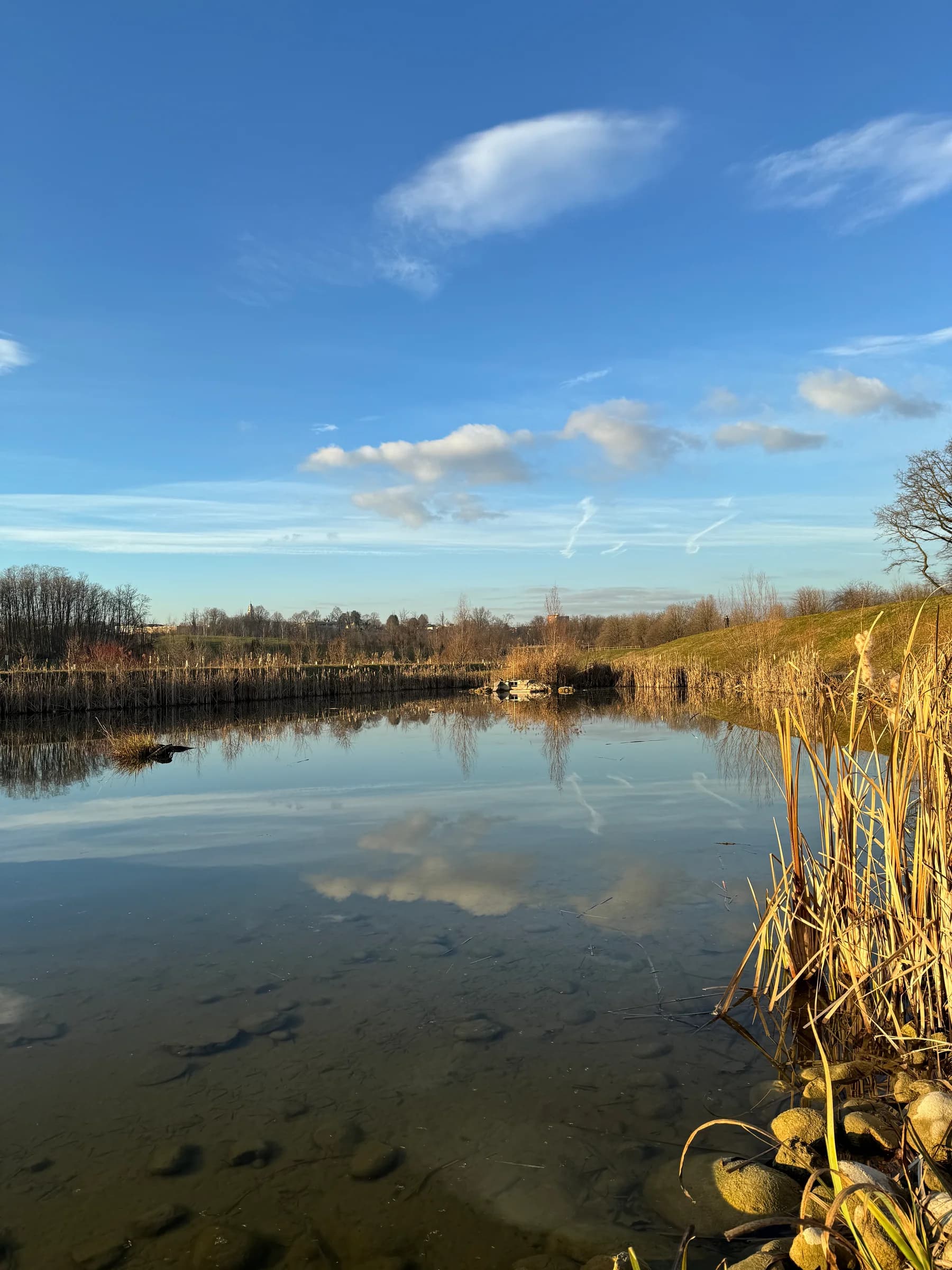 The pond on a clear day